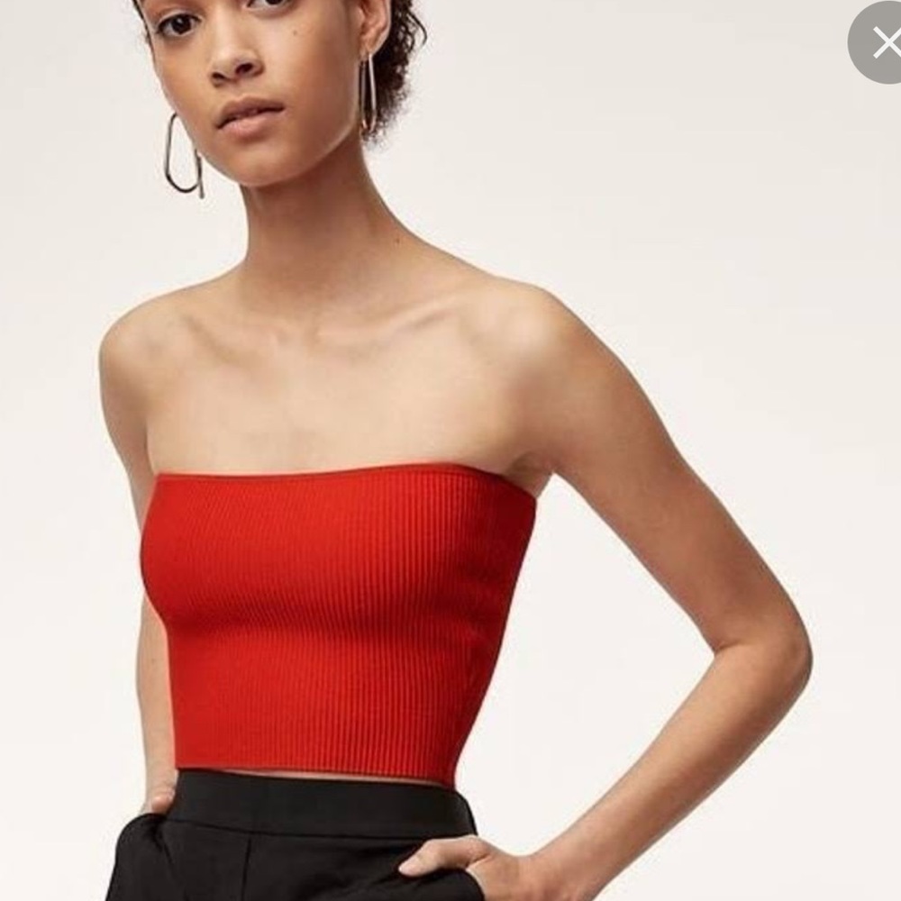aritzia tube top